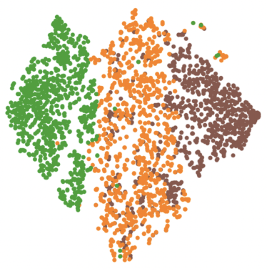 Interpolate start reference image.