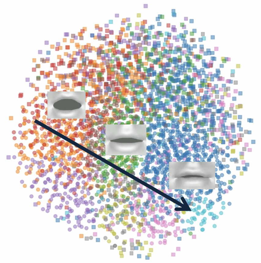 Interpolate start reference image.